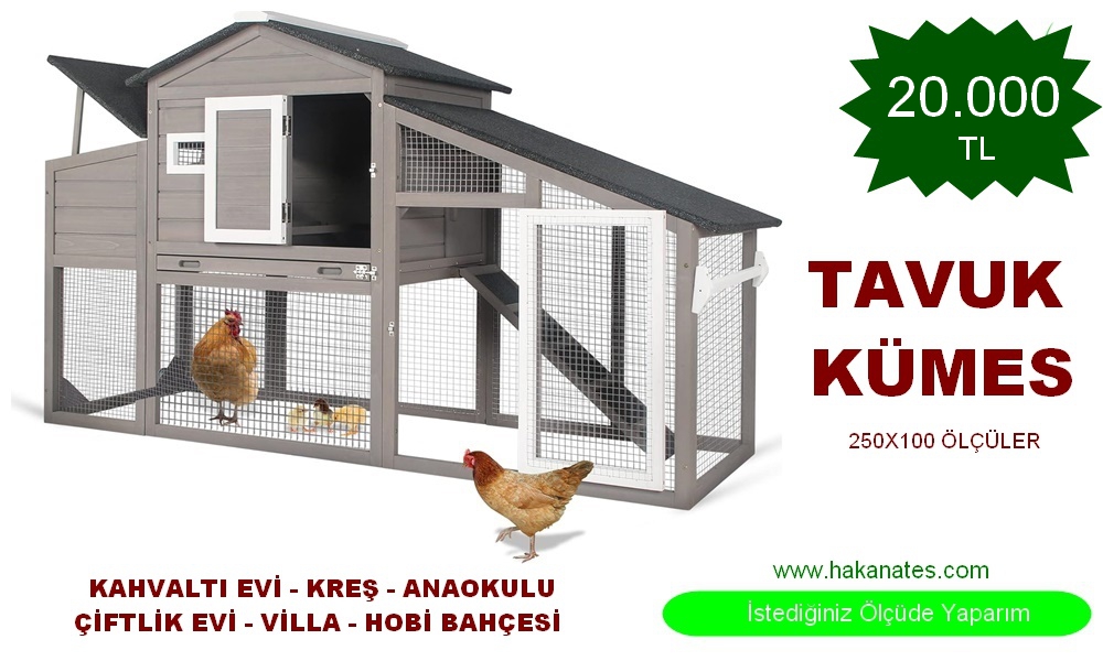 KÜMES 1